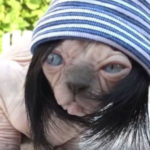 Meet your Posher, Coraline